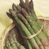 asparagus argenteuil seeds production