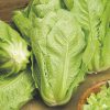 lettuce bionda lentissima a montare 2 seeds production