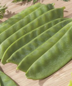 pea carouby seeds production