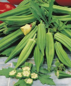 okra clemson spineless seeds production