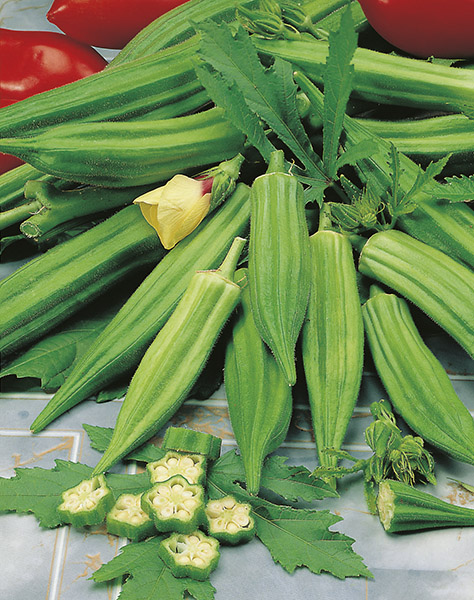 okra clemson spineless seeds production