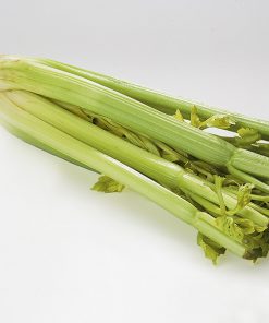 celery d'elne seeds production