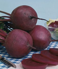 beetroot detroit 2 seeds production