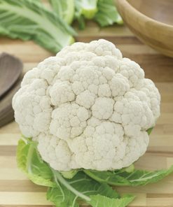 Cauliflower ds ig070 F1