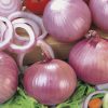onion red figueras seeds production