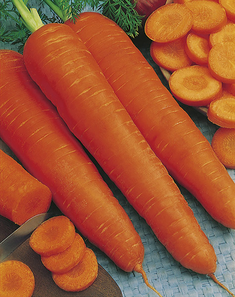 carrot flakke 2 seeds production