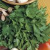 parsley gigante d'italia seeds production