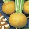 turnip golden ball seeds production