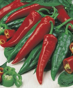 pepper hoja seeds production