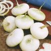 onion white la reine seeds production