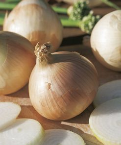 onion yellow liria seeds production