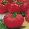 tomato marmande seeds production