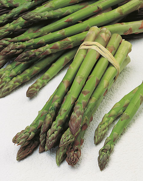 asparagus mary washington seeds production
