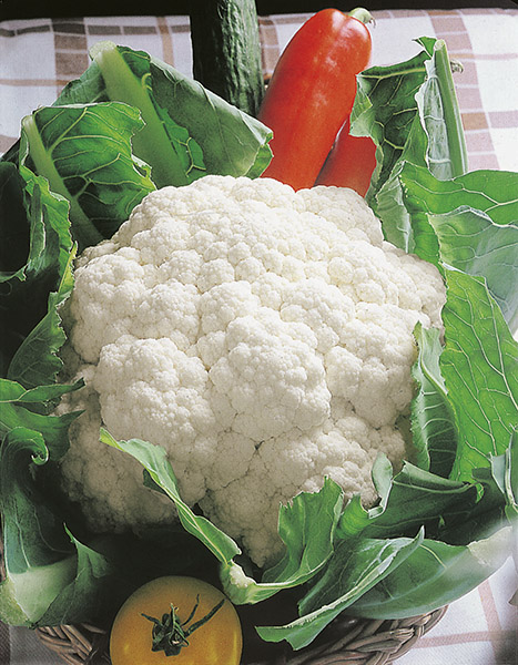 cauliflower napoletano gennarese seeds production
