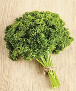 parsley paramount seeds production