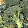 broccoli ramoso calabrese sel. rapid seeds production
