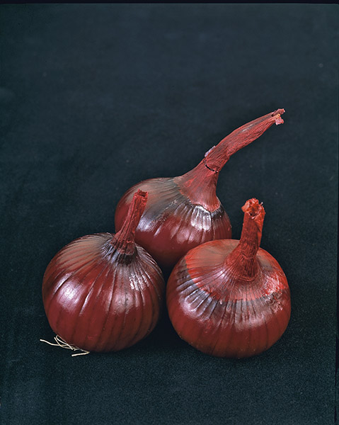 Bombay onion