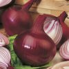 onion red red creole seeds production