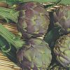 artichoke romanesco seeds production