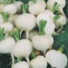 winter radish round white seeds production