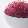 red beetroot seeds for sprouting production