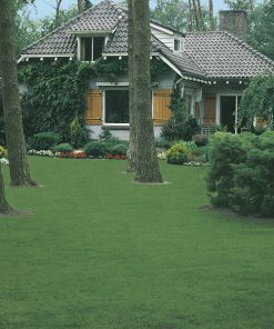 lawn shady garden seeds production