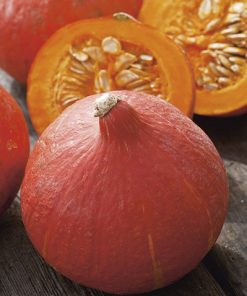 pumpkin uchiki kuri seeds production